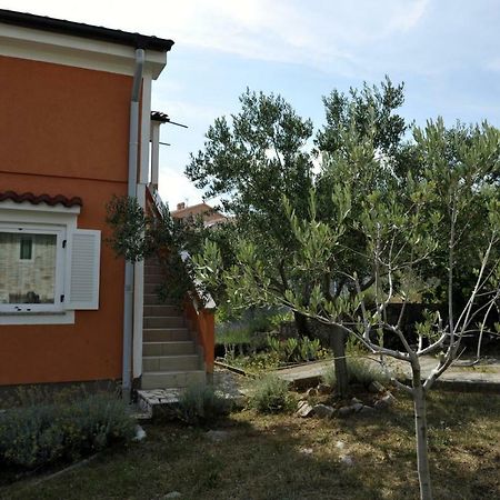 Kornić Apartman Branka מראה חיצוני תמונה